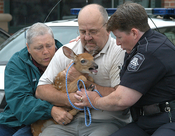 050707_ND_JVA_DEER
