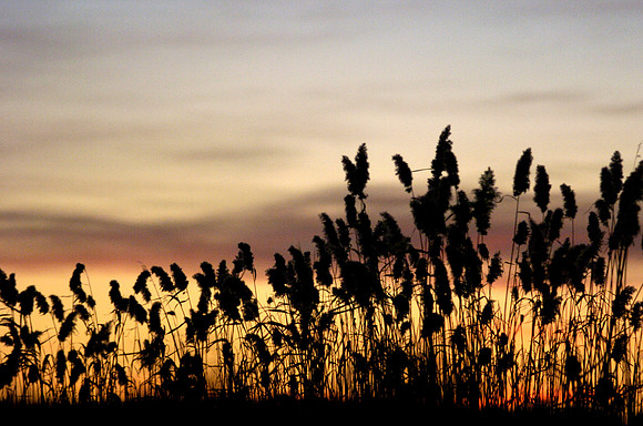 061210_ND_JVA_SKY