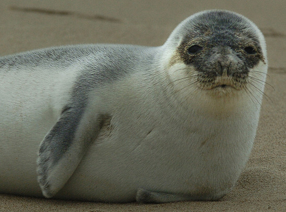 070121_ND_JVA_SEAL